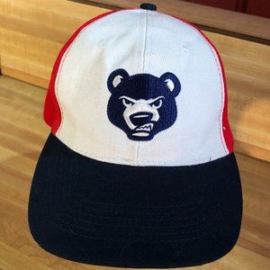 South Bend Cubs SGA hat SB Airport Express